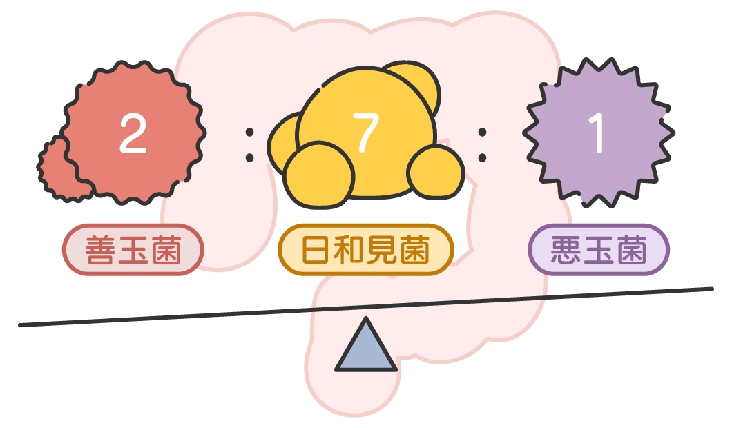 腸内フローラの理想的なバランス(善玉菌2:日和見菌7:悪玉菌1)